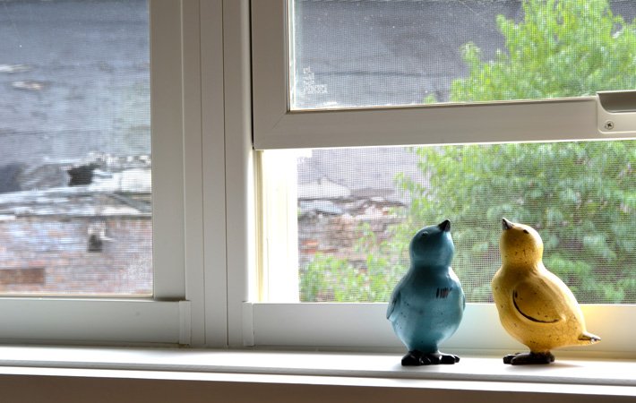 Two ceramic bird figurines, one blue and one yellow, sit on a white windowsill. Behind them, a partially open window shows outdoor greenery and a blurred building in the background.